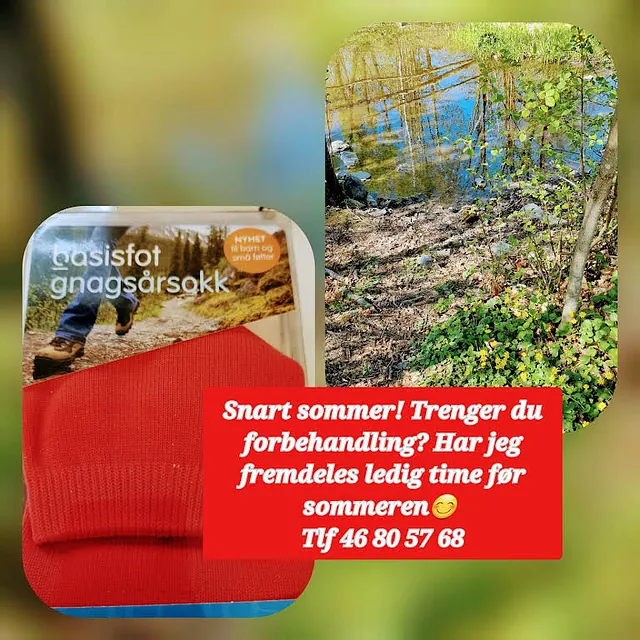 Person som går i skogen, og utsnitt av innsjø